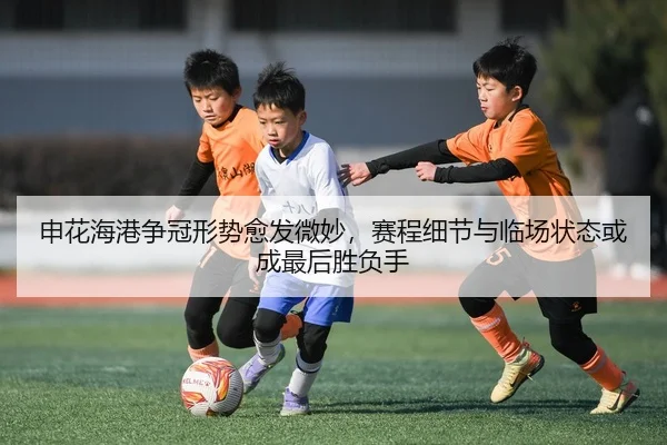 img_1783743567855_78_2_877.jpg